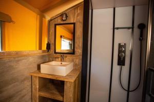濱海拉普蘭的住宿－Camping les Vallons de l'Océan，一间带水槽和镜子的浴室