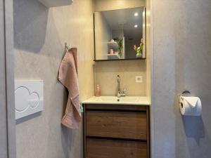 a bathroom with a sink and a mirror at Hotelhuisjes Andijk in Andijk