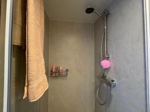 a shower with a glass door with a pink sponge at Hotelhuisjes Andijk in Andijk