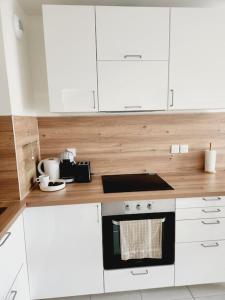 Dapur atau dapur kecil di Appartement cosy de 3 chambres avec parking et balcon proche Paris