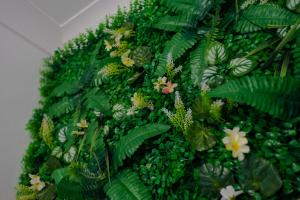 Ein Haufen grüner Pflanzen mit Blumen und Blättern in der Unterkunft Apartment on high street in Saltdean