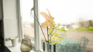 Eine Blume in einer Vase auf einem Fensterbrett in der Unterkunft Apartment on high street in Saltdean