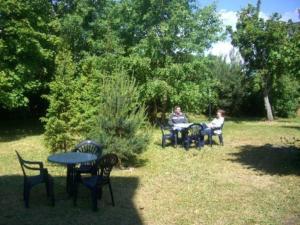 zwei Personen sitzen an Tischen und Stühlen in einem Park in der Unterkunft Villa im Ostseebad Baabe in Baabe