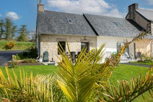 a house with a palm tree in front of it at Maison avec piscine 20min plage in Guerlesquin
