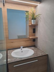 a bathroom with a sink and a mirror at Haus Wallinger in Abtenau +22 photos