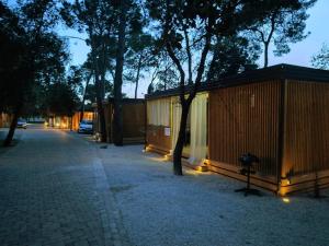a street with trees and a building with lights at Mobile home Kala in Biograd na Moru
