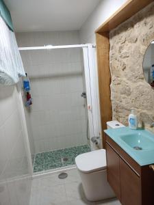 a bathroom with a shower and a toilet and a sink at LA CAMELIA in Pontevedra