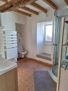 ein Bad mit einer Dusche und einem WC in der Unterkunft Maison de la Grève in Ouistreham