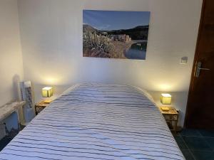 Bett in einem Zimmer mit zwei Lampen und einem Bild an der Wand in der Unterkunft La Vue 360 in Centuri