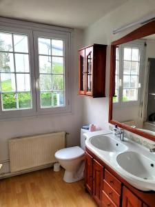 een badkamer met een toilet, een wastafel en een spiegel bij Maison de 5 chambres avec jardin clos et wifi a Dammartin en Goele in Dammartin-en-Goële