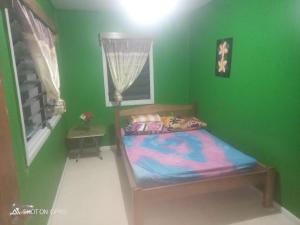 ein Schlafzimmer mit einem Bett in einer grünen Wand in der Unterkunft Ferafolia Highlands Home Stays in Auki