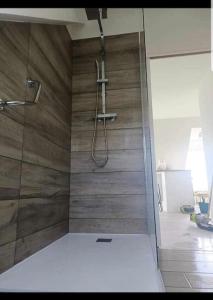eine Dusche mit Glastür im Bad in der Unterkunft Bel appartement 4 personnes in Port-en-Bessin-Huppain