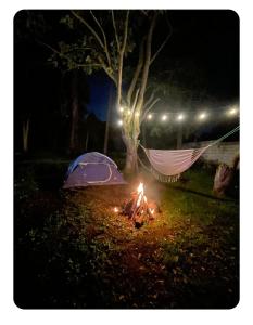 a campfire with a tent and a hammock in the night at Quinta Suria in Quito