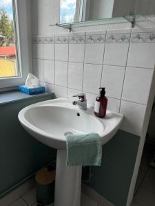 a bathroom sink with a soap dispenser on it at Au petit Meuh'ster in Munster +8 photos