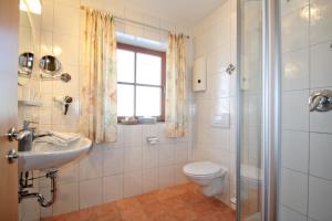uma casa de banho com um WC, um lavatório e um chuveiro em Stefanutti-Hof em Grabenstätt