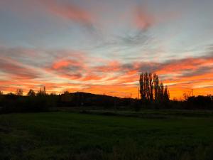 a sunset in a field with trees in the background at El Rincón de Willy in Zazuar