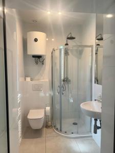 ZawadyCentrum Szkoleniowo-Wypoczynkowe Słoneczny Brzeg的带淋浴、马桶和水槽的浴室