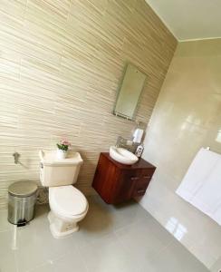 a bathroom with a toilet and a sink and a mirror at Jarabacoa Villa Anchorage in Jarabacoa