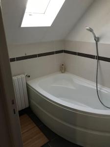 a bath tub with a shower in a bathroom at MAISON AVEC JACUZZI PRIVATIF in Cambrai