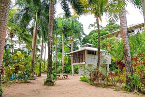a house in the middle of a bunch of palm trees at Tropical Paradise, Oceanfront Home in the Jungle in Bocas del Toro