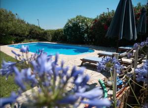a swimming pool with blue flowers and an umbrella at Cap d’Antibes Sea view villa in Antibes +65 photos
