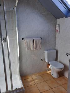 łazienka z toaletą i prysznicem w obiekcie Le New Matinal w mieście La Louvière