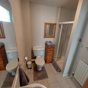 a bathroom with a toilet and a shower and a sink at Sandy Feet Retreat - Castlerock in Castlerock