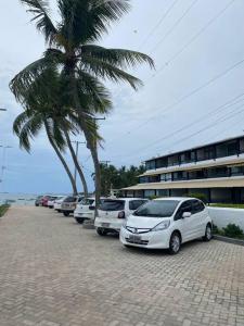 rząd samochodów zaparkowany obok palmy w obiekcie Flat aconchegante à beira-mar w mieście Itaparica