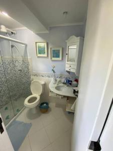 een badkamer met een toilet, een wastafel en een douche bij Flat aconchegante à beira-mar in Vera Cruz de Itaparica
