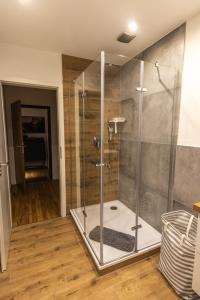 y baño con ducha y puerta de cristal. en Südschleife Appartements - WLAN - Direkt am Ring, en Reimerath