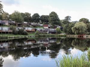 a swan swimming in a lake in front of houses at Treetops in Caernarfon