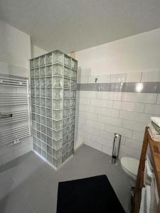 a bathroom with a shower with a toilet and a sink at Ferienwohnungen Altstadt in Plau am See