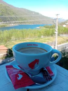 una tazza di caffè su un piatto con vista di Pensiunea Alpina a Malaia