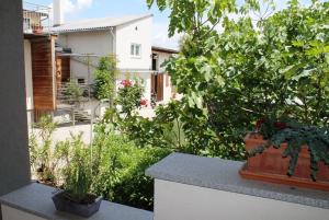 a garden with plants on a ledge of a building at Ferienhof Weingut Lunzer in Gols