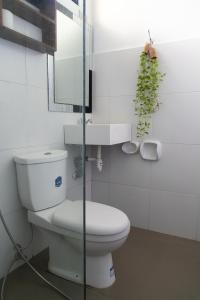 a bathroom with a toilet and a mirror and a plant at Amara Family 2Br House, pool, 180Mbps, garden , parking Central location in General Luna