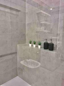 een badkamer met een wastafel en twee planten op een plank bij SanZenoHome StayInVerona Full Apartment in Verona