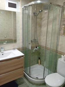 La salle de bains est pourvue d'une douche, de toilettes et d'un lavabo. dans l'établissement Casa de Verano con Piscina, à Montroy