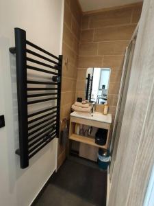 uma pequena casa de banho com um lavatório e um espelho em Sublime Studio proche du lac avec parking privé em Viviers-du-Lac