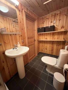 y baño con lavabo y aseo. en Sjarmerende leilighet i Sirdal, en Haugen