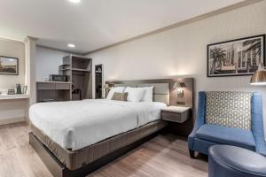 um quarto com uma cama e uma cadeira azul em Best Western Plus Executive Suites em Redwood City