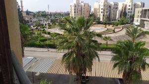 Blick auf eine Straße mit Palmen und Gebäuden in der Unterkunft Elnoras city ismailia in Ismailia