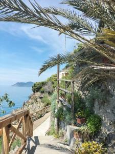 un chemin menant à l'océan avec un palmier dans l'établissement Chalet Camping River Italië met 2 slaapkamers, à Ameglia