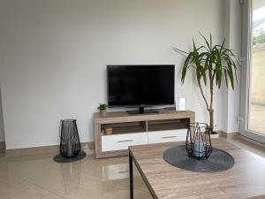 a living room with a flat screen tv on a entertainment center at Lieblingsplatz in Pfullendorf
