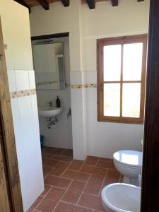 a bathroom with a toilet and a sink at Agriturismo Diffuso Monte Oliveto Maggiore in Chiusure