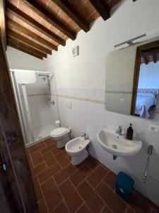 a bathroom with two toilets and a sink and a mirror at Agriturismo Diffuso Monte Oliveto Maggiore in Chiusure