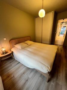a bedroom with a large bed in a room at La Perle en ville t2 hyper centre in Thonon-les-Bains