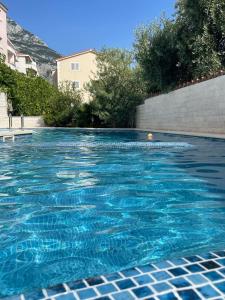 a swimming pool with blue water in front of a building at Apartment Dalmatien Traumhaus in Makarska
