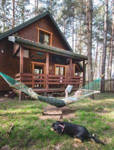 Ogród w obiekcie Jarzębinowa - Dom do wynajęcia na Podlasiu