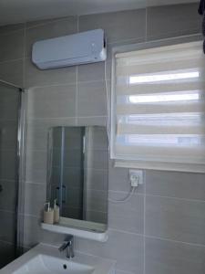 een badkamer met een wastafel, een spiegel en een raam bij Ma chaumière santenoise in Santeny