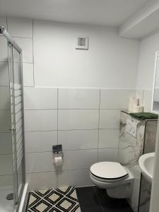 a bathroom with a toilet and a sink at Pension Sachseneck in Heidenau